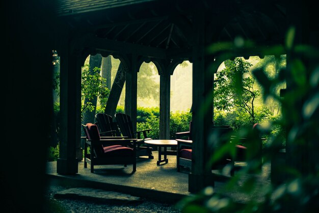 Apex Burglers Pergola